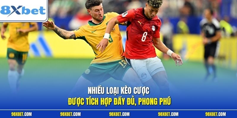 Cá Cược Thể Thao 8XBET Đỉnh Cao Giải Trí Hàng Đầu Thị Trường 2 Nhiều loại kèo cược được tích hợp đầy đủ, phong phú